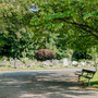 Chiswick Cemetery