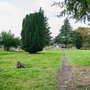 Hounslow Cemetery