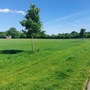 Norman Park