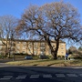 Sydenham Avenue