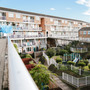 Rouel Road Estate
