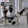 Laboratory (Kingston University)