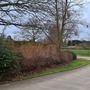 Cherry Orchard & Walled Garden (Chiswick House & Gardens)