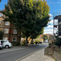 Harold Estate
