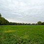 Downhills Park