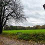 Bedfords Park