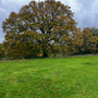 Bedfords Park
