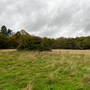 Havering Country Park