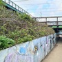 Coppermill Fields & Underpass