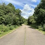 Country Park Controllable Roads & Tracks