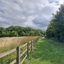 Cornmill Meadows & Wood
