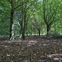 Cornmill Meadows & Wood