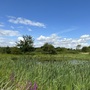 Cornmill Meadows & Wood