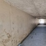 Waltham Abbey Tunnel