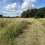 Britannia Meadows