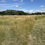 Britannia Meadows