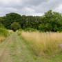 Kingston Cemetery and Crematorium