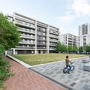 Maiden Lane Estate