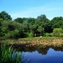 Dagnam Park