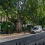 Cartwright Gardens