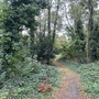 Crystal Palace Park - Secret Garden