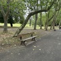 Crystal Palace Park - The Avenue