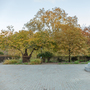 Brunswick Square Gardens
