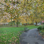 Brunswick Square Gardens