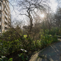 Spa Green Garden