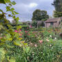 Fairy Tale House & Garden