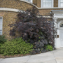 William Morris Gallery