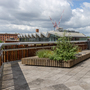 Camden Rooftop