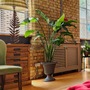 New York Style Loft Apartment