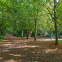 Holland Park - Woodland Area