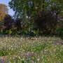 Holland House Gardens