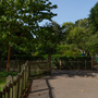 Holland Park - Kyoto Garden