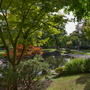 Holland Park - Kyoto Garden