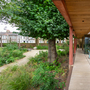 Lea Bridge Library - Garden