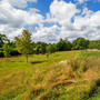 Surrey Country House & Gardens