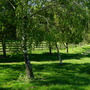 Martley Hall - Stud and Arena