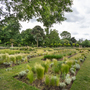 Chiswick House - Conservatory