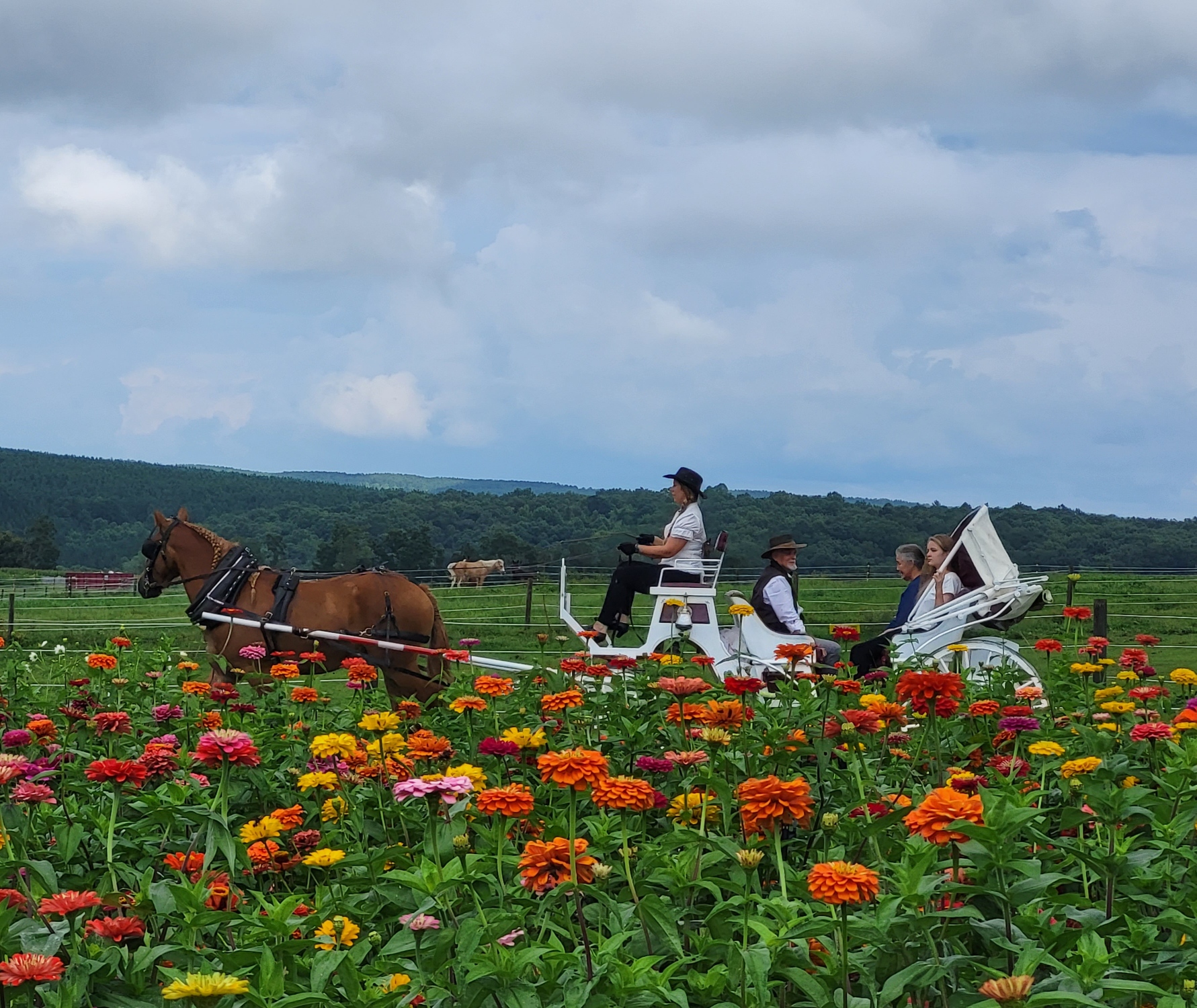 Locations Hub - Flat Rock Ranch