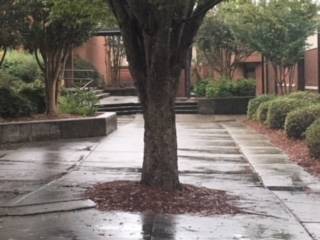 Central Gwinnett High School