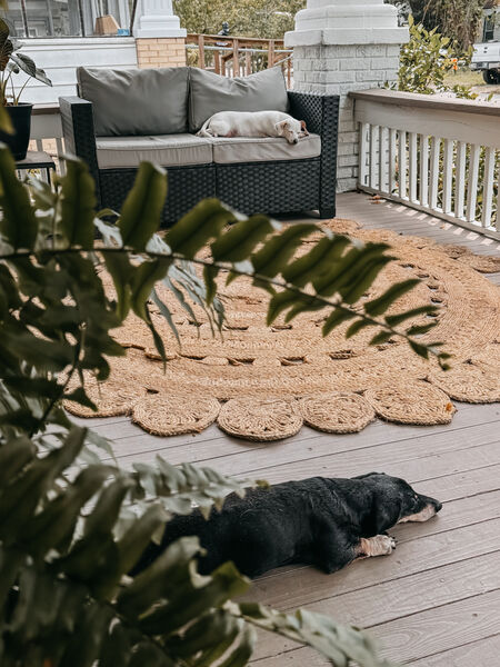 Oasis in South Seminole Heights
