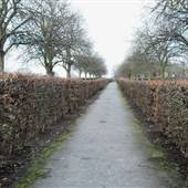 McAndrews Recreation Ground