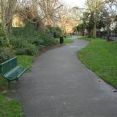 Holly Grove Shrubbery