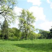 Grangewood Park