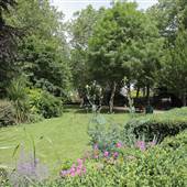 Avondale Park Road Gardens