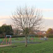 Coney Hall Recreation Ground