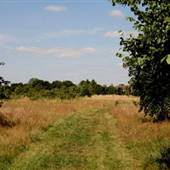 Hanworth Park